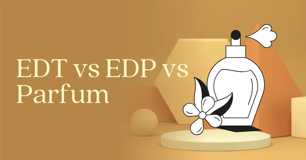 EDT vs EDP vs Parfum: Concentration, Longevity & How to Choose