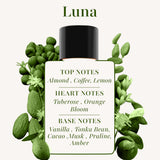 Luna Perfume